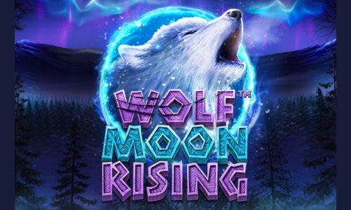 Wolf Moon Rising slot review | RTP 96% | Live Casino House